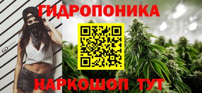 хмурый Аша