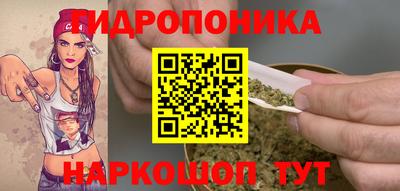 ECSTASY Ачхой-Мартан